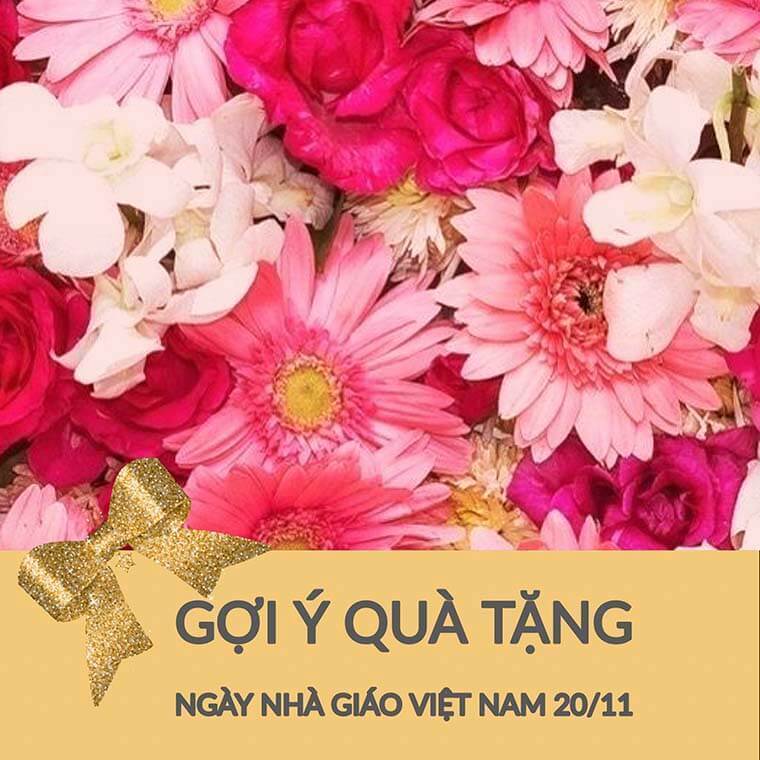 Có nên chọn đồ ngủ lụa làm quà tặng cô giáo nhân dịp 20/11 không?