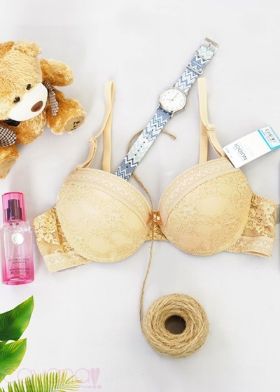 Áo Ngực Cao Cấp Núi Đôi 295 Da