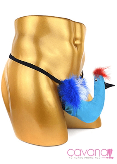 Quần lót nam Chú Chim Đủ Sắc