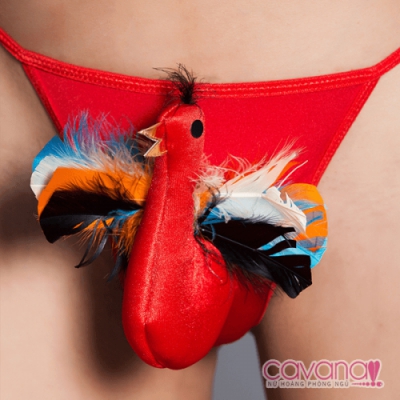 Quần lót tạo hình 3D Cánh Chim Không Mỏi
