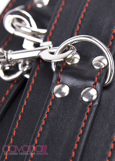 Set đồ chơi SM hỗ trợ tình dục Hoang Dại