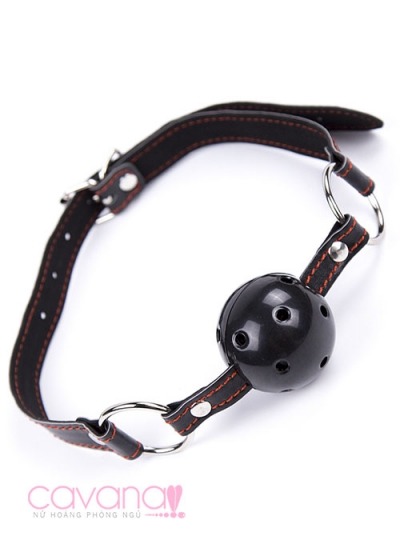 Set đồ chơi SM hỗ trợ tình dục Hoang Dại