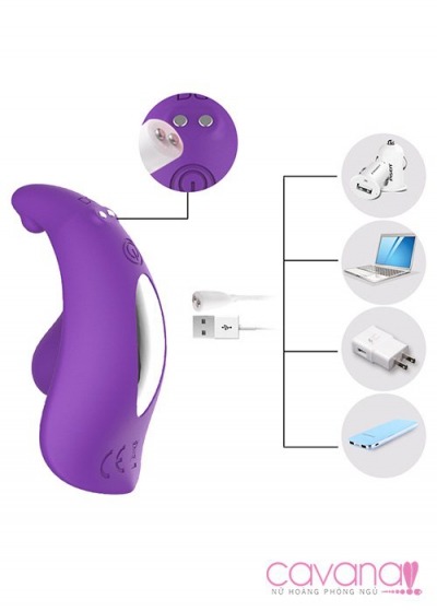 Trứng rung tàng hình điều khiển từ xa Aixia