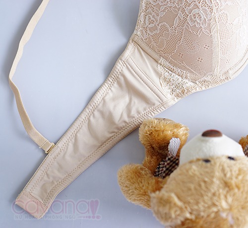 Áo Ngực Cao Cấp Núi Đôi 520 Da