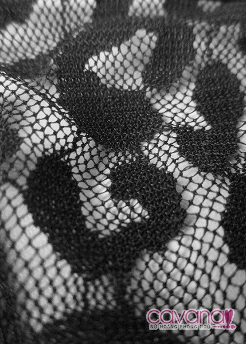 Quần lót gợi cảm Cánh Hoa Mong Manh (nhiều màu)