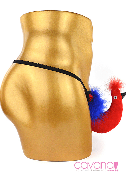 Quần lót nam Chú Chim Đủ Sắc