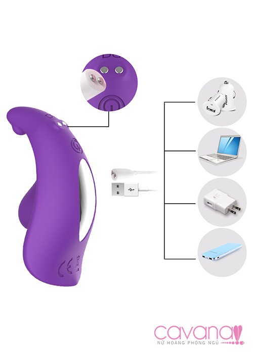 Trứng rung tàng hình điều khiển từ xa Aixia