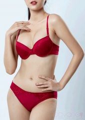 Áo Ngực Cao Cấp Núi Đôi 295 Đỏ Đô