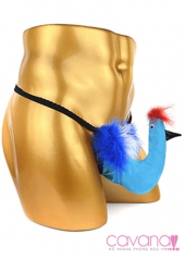 Quần lót nam Chú Chim Đủ Sắc