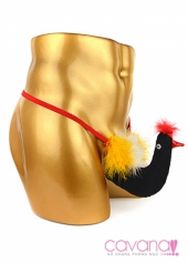 Quần lót nam Chú Chim Đủ Sắc