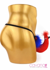 Quần lót nam Chú Chim Đủ Sắc