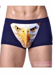 Quần lót nam tạo hình Thần Ưng