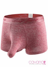 Quần lót nam Voi Con